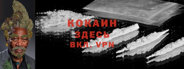 Альфа ПВП Дмитриев