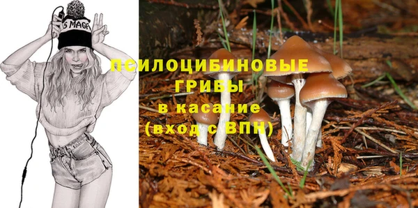 Альфа ПВП Дмитриев