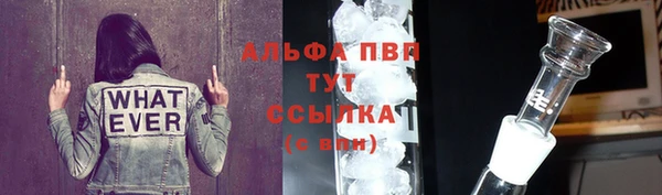 СК Дмитровск