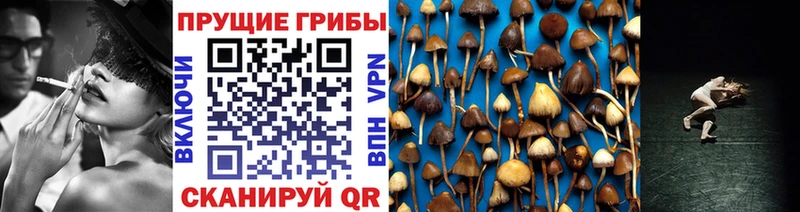 Псилоцибиновые грибы мицелий  Купить где  Борзя 